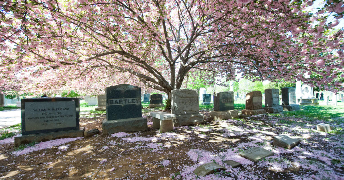 Congressional Cemetery National Trust for Historic Preservation